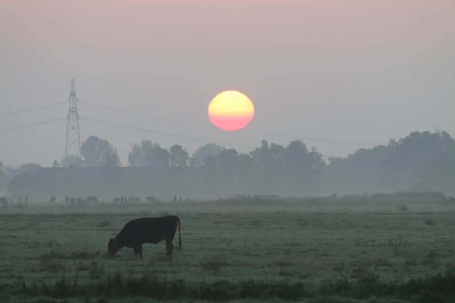 Wilck - Zonsopkomst